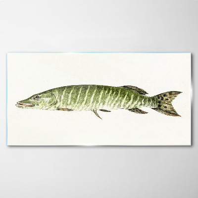 Tablou sticla Muskie în habitatul său natural