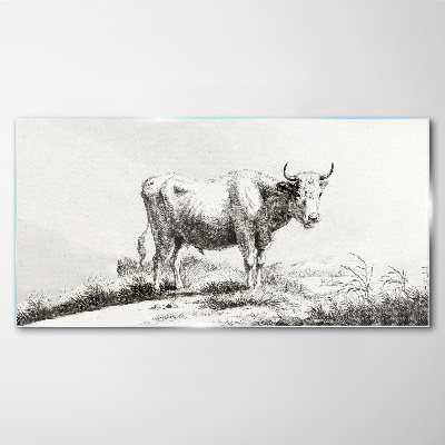 Tablou sticla Vaca neagră la pășune