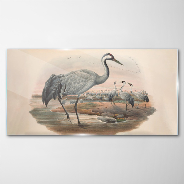 Tablou sticla Lapwing pe fundalul apei