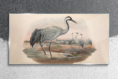 Tablou sticla Lapwing pe fundalul apei