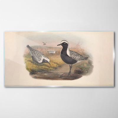 Tablou sticla Păsări în habitatul lor natural