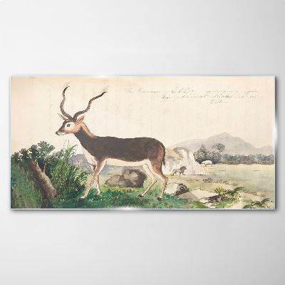 Tablou sticla Antilope pe fundalul peisajului