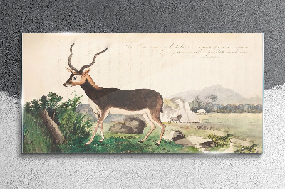 Tablou sticla Antilope pe fundalul peisajului