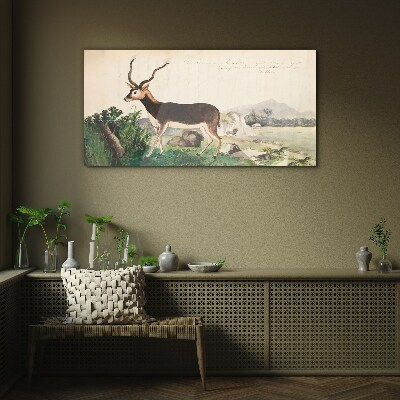 Tablou sticla Antilope pe fundalul peisajului