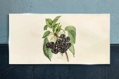 Tablou sticla Fructe negre pe ramură
