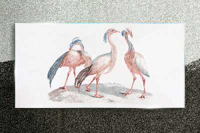 Tablou sticla Trei flamingo roz pe un fundal alb