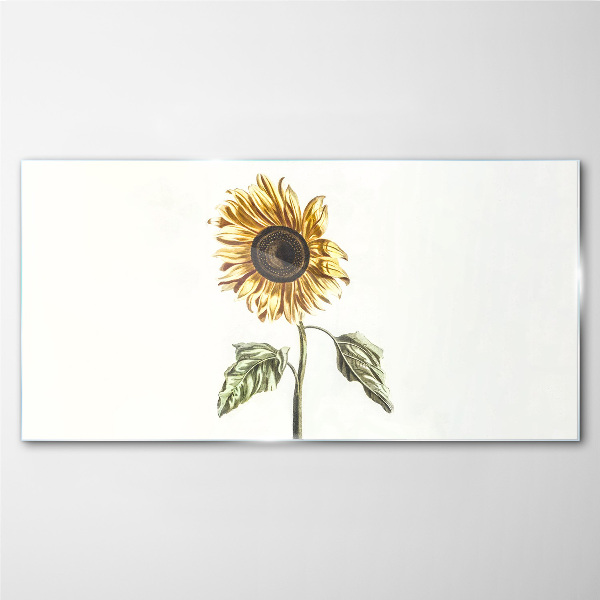 Tablou sticla Floare de floarea soarelui pe fundal alb