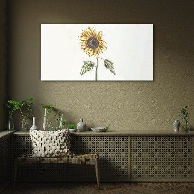 Tablou sticla Floare de floarea soarelui pe fundal alb