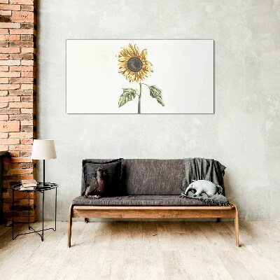 Tablou sticla Floare de floarea soarelui pe fundal alb