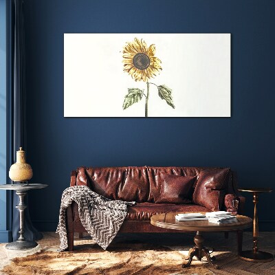Tablou sticla Floare de floarea soarelui pe fundal alb