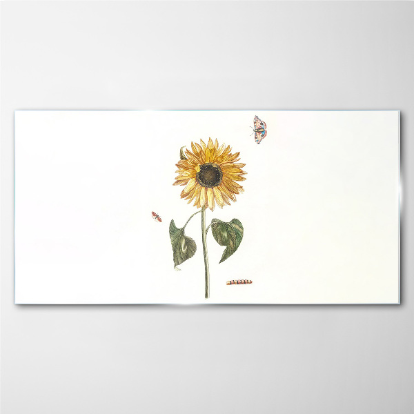 Tablou sticla Floarea soarelui intr-o compozitie delicata