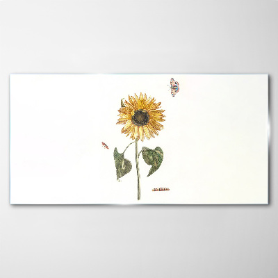 Tablou sticla Floarea soarelui intr-o compozitie delicata