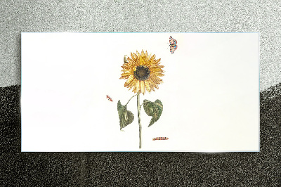 Tablou sticla Floarea soarelui intr-o compozitie delicata