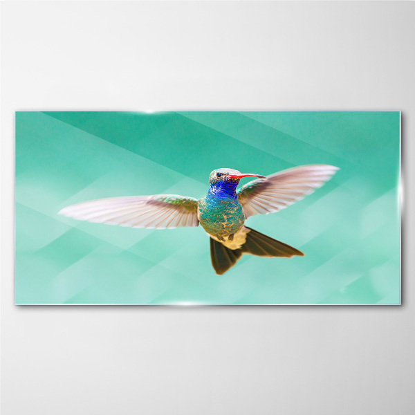 Tablou sticla Pasăre colibri pe fundal albastru