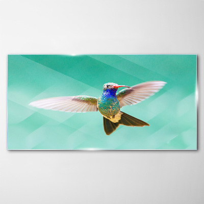 Tablou sticla Pasăre colibri pe fundal albastru