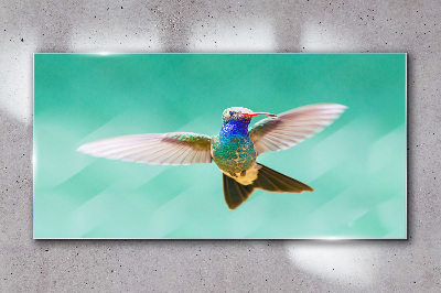 Tablou sticla Pasăre colibri pe fundal albastru