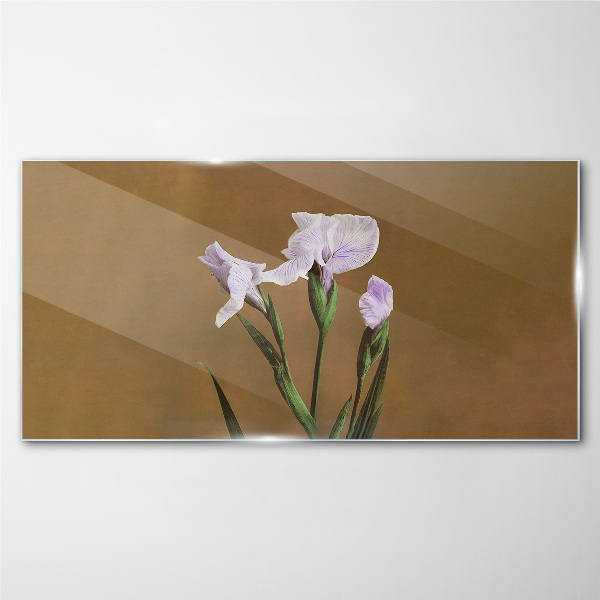 Tablou sticla Flori de iris pe fond maro