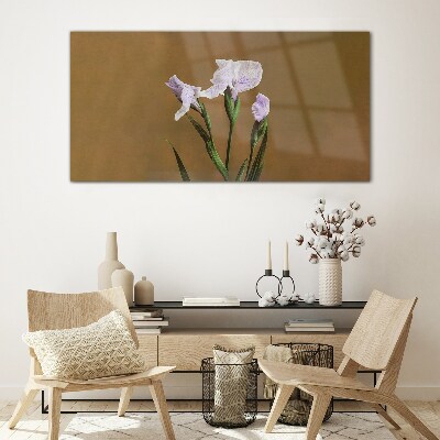 Tablou sticla Flori de iris pe fond maro