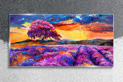 Tablou sticla Câmpuri de lavandă violet la apus