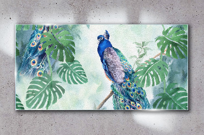 Tablou sticla Păun în jungla tropicală