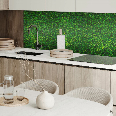 Panou decorativ pătrat Perete verde de vegetație