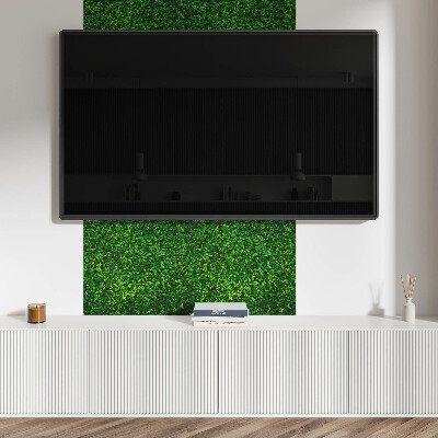 Panou decorativ pătrat Perete verde de vegetație