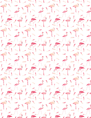 Roleta geam Flamingos și penele lor