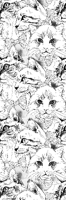 Roleta textila Pisici desenate