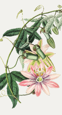 Roleta Floare roz