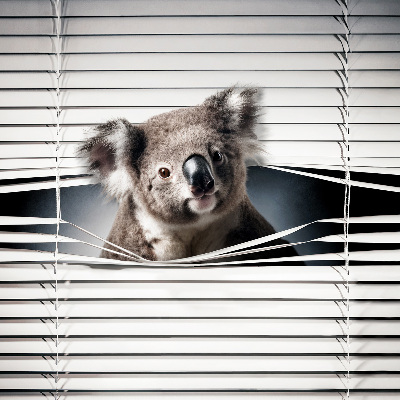Roleta Koala