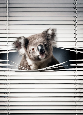 Roleta Koala