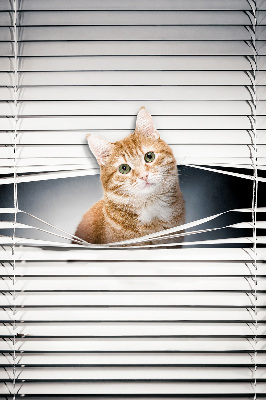 Roleta geam Pisică roșie
