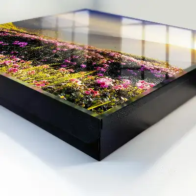 Răsărit de soare la munte