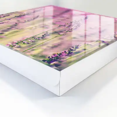 O grădină violetă într-o zi de vară