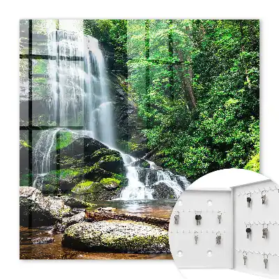 O oază naturală de verdeață luxuriantă