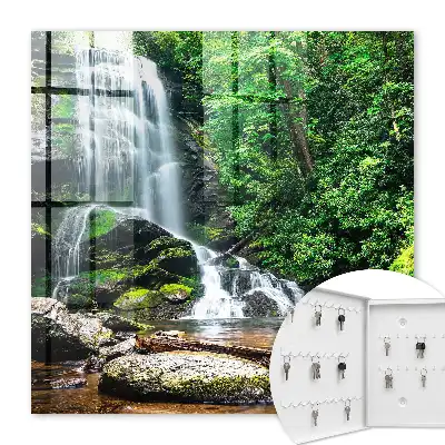 O oază naturală de verdeață luxuriantă