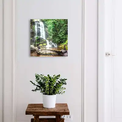 O oază naturală de verdeață luxuriantă