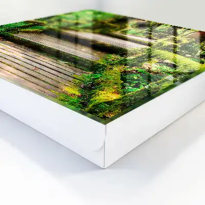 Podul forestier în pădurea verde