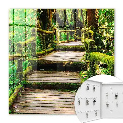 Podul forestier în pădurea verde