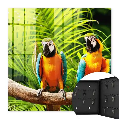 Păsări tropicale cu frunze verzi