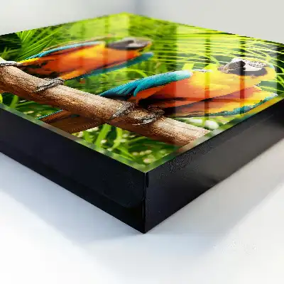 Păsări tropicale cu frunze verzi