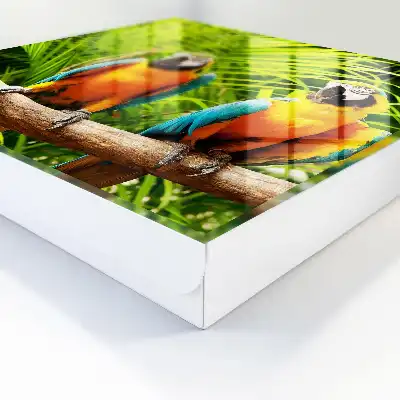 Păsări tropicale cu frunze verzi