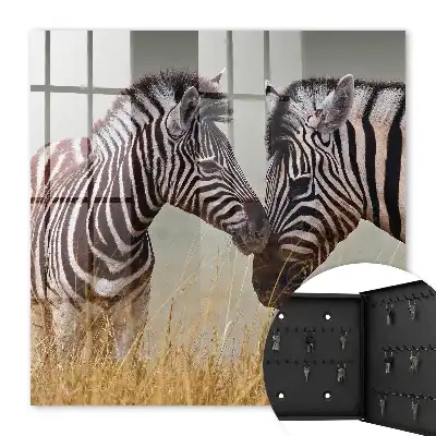 Zebre împreună pe un fundal bej