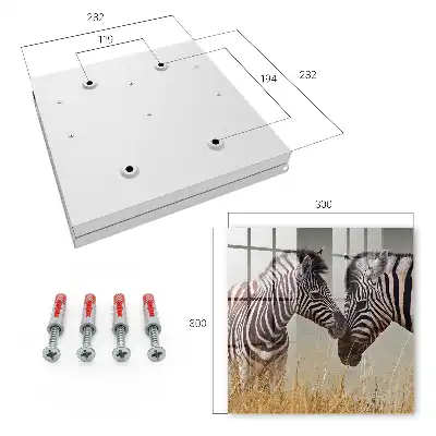 Zebre împreună pe un fundal bej