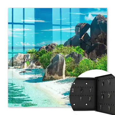 O plajă tropicală cu verdeață luxuriantă