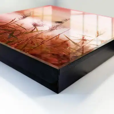 Ierburi în zori în nuanțe pastelate