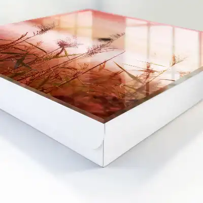 Ierburi în zori în nuanțe pastelate