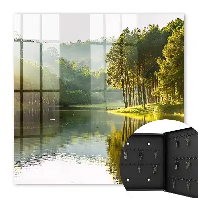 Peisaj verde de copaci