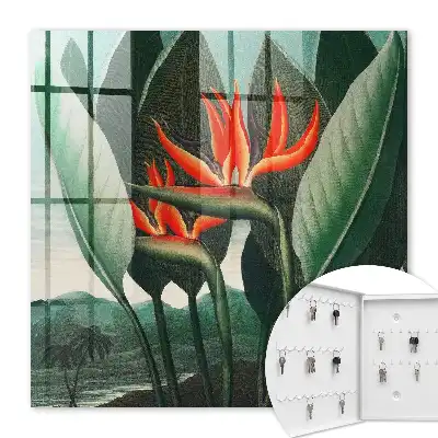 Exotismul naturii în culori suculente