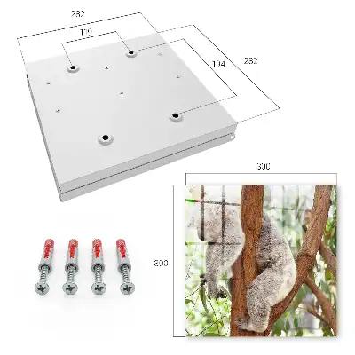 Koala se relaxează în natură